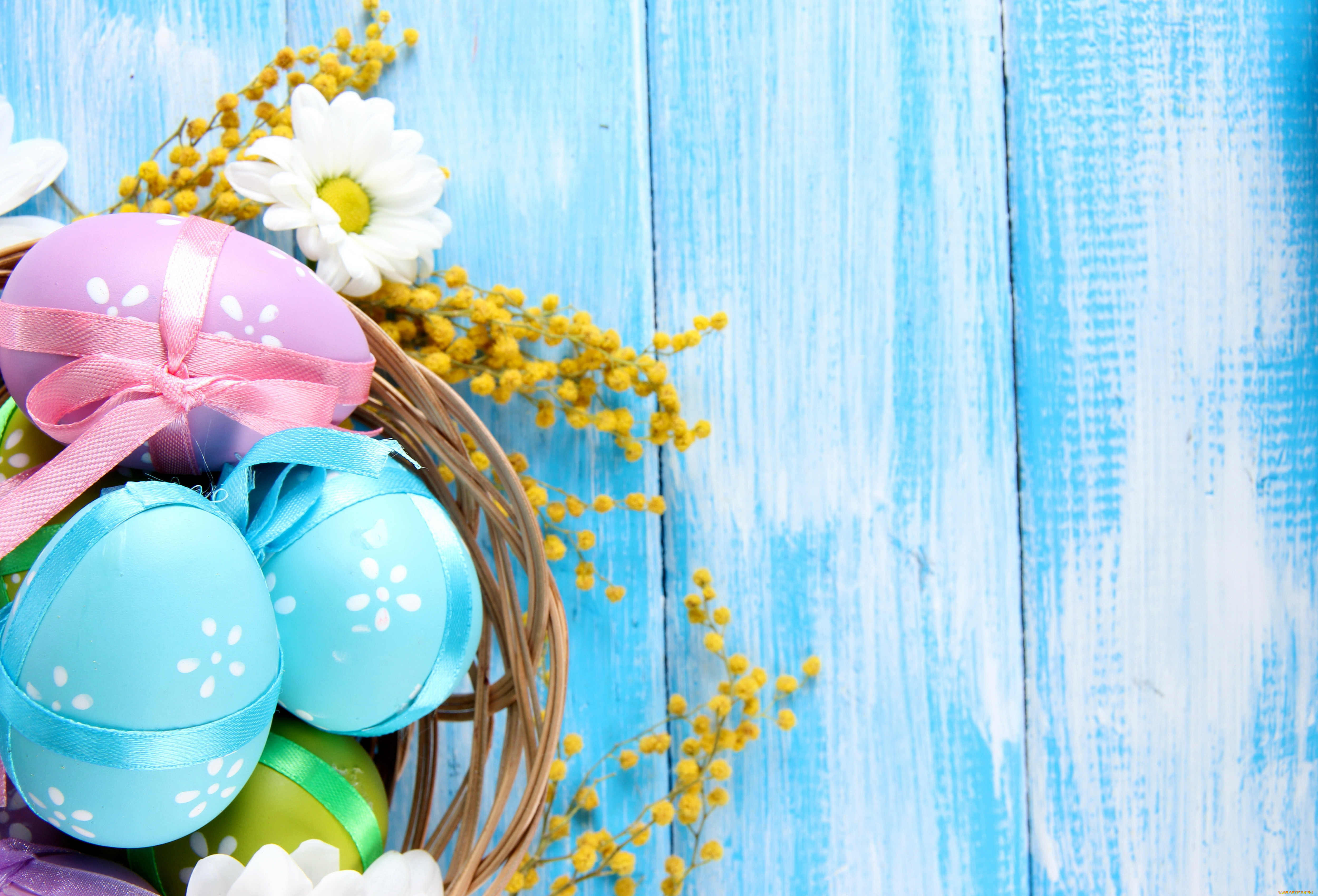 , , easter, spring, flowers, eggs, camomile, daisy, pastel, blue, delicate, , , , , , 